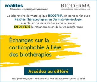 Pavé_sidebar_650_550px