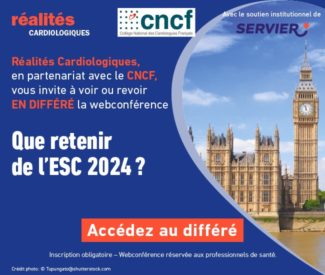 Pavé_sidebar_650_550px