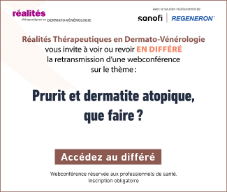 Pavé_sidebar_650_550px