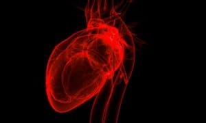 Traitement par clip mitral dans l'insuffisance cardiaque : où en est-on en 2025 ?