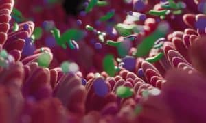 Prescriptions de probiotiques : les bonnes et mauvaises indications