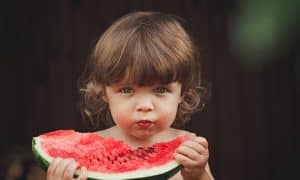 Allergodiet.org : un outil utile au pédiatre