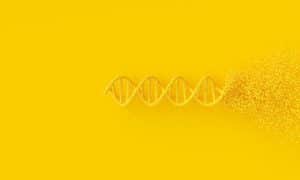 Mieux comprendre la biologie moléculaire : quelles techniques pour quelles indications ?