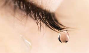 Quoi de neuf en surface oculaire ?